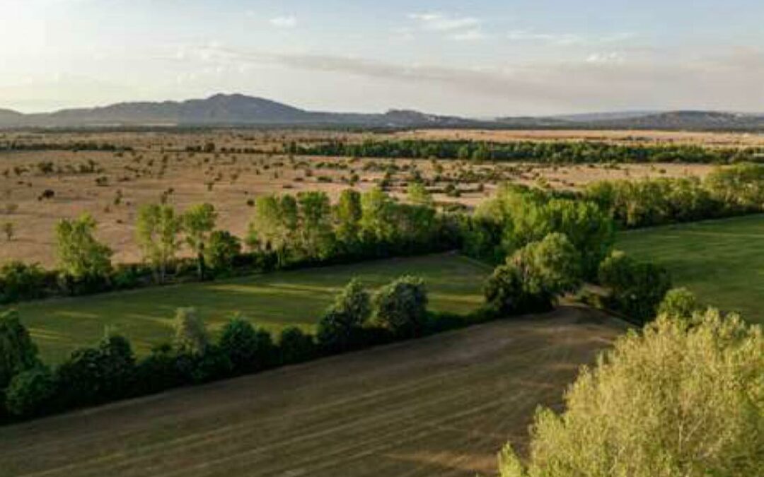 𝐋’𝐞𝐚𝐮 𝐧𝐞 𝐝𝐨𝐢𝐭 𝐣𝐚𝐦𝐚𝐢𝐬 𝐝𝐢𝐯𝐢𝐬𝐞𝐫, 𝐞𝐥𝐥𝐞 𝐝𝐨𝐢𝐭 𝐮𝐧𝐢𝐫.