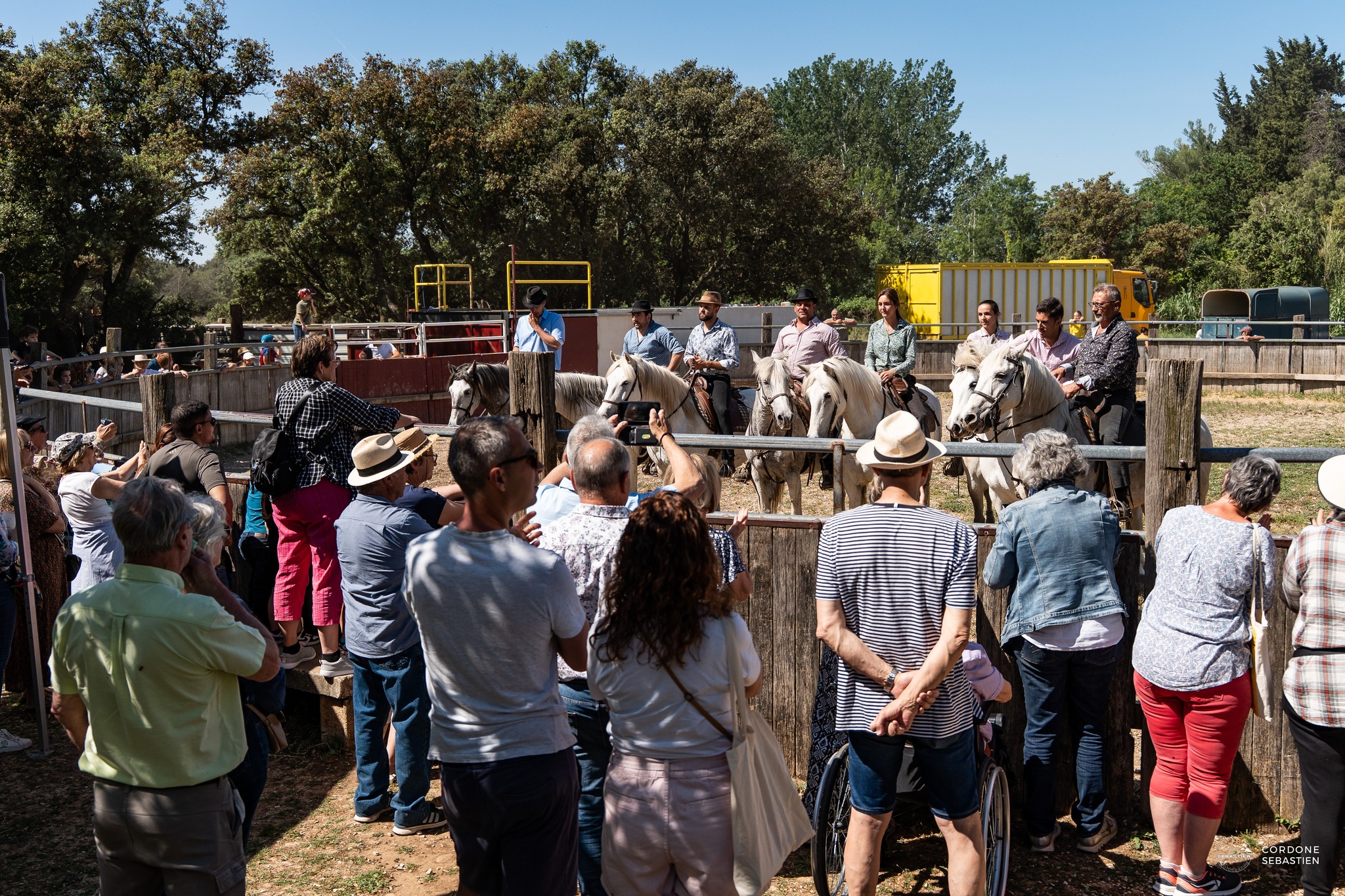 𝐑𝐞𝐭𝐨𝐮𝐫 𝐬𝐮𝐫 𝐧𝐨𝐭𝐫𝐞 𝐣𝐨𝐮𝐫𝐧𝐞́𝐞 𝐜𝐡𝐚𝐦𝐩𝐞̂𝐭𝐫𝐞 : 𝐮𝐧 𝐯𝐫𝐚𝐢 𝐬𝐮𝐜𝐜𝐞̀𝐬 !