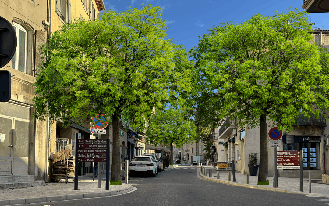Plus de vert, plus de vie : revégétalisons Eyguières